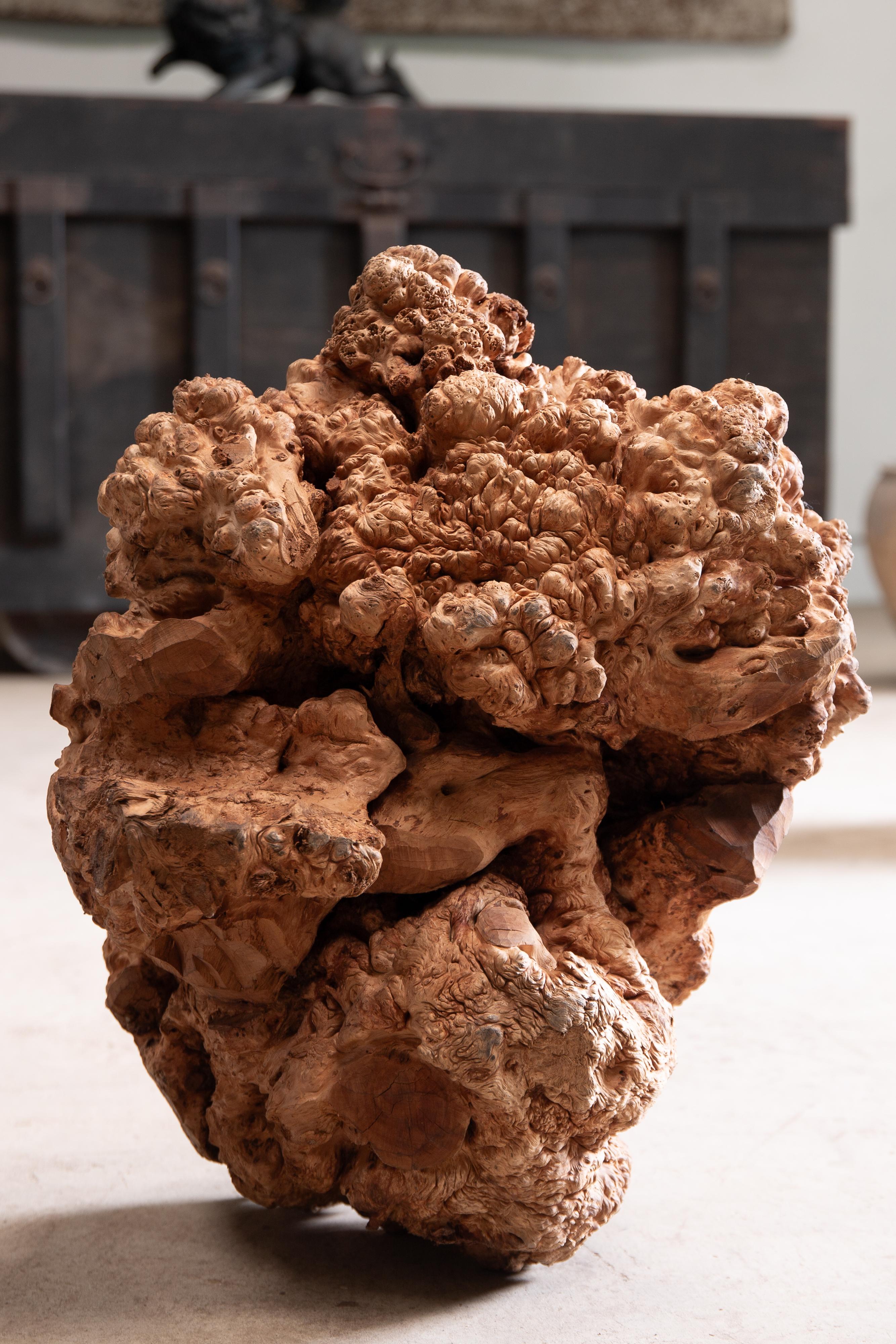 JapanischAntike massive Wurzelholzplatte Skulptur wabi sabi Kunstwerk objet d'art im Zustand „Gut“ im Angebot in 常陸大宮市, JP