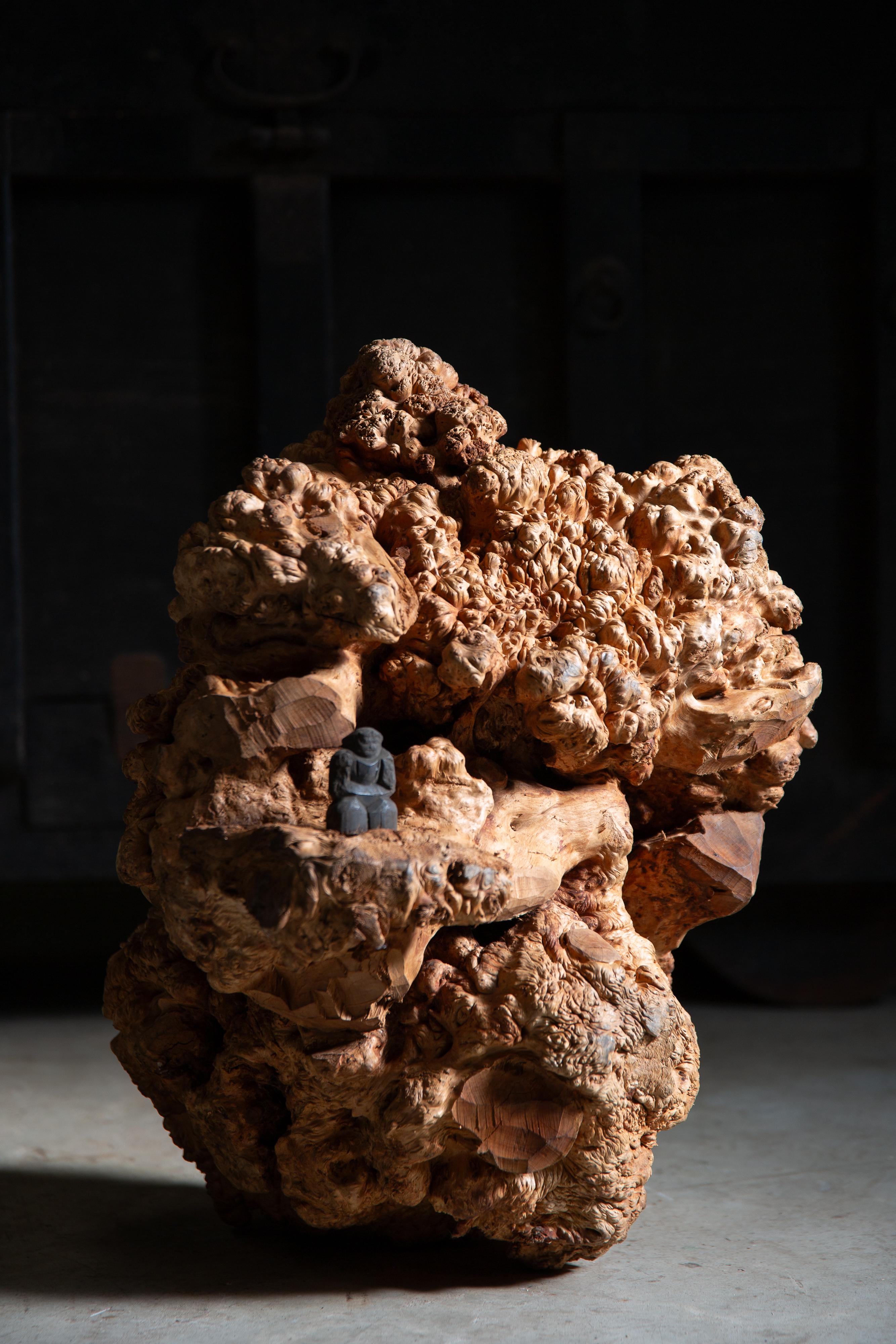 JapanischAntike massive Wurzelholzplatte Skulptur wabi sabi Kunstwerk objet d'art im Angebot 1