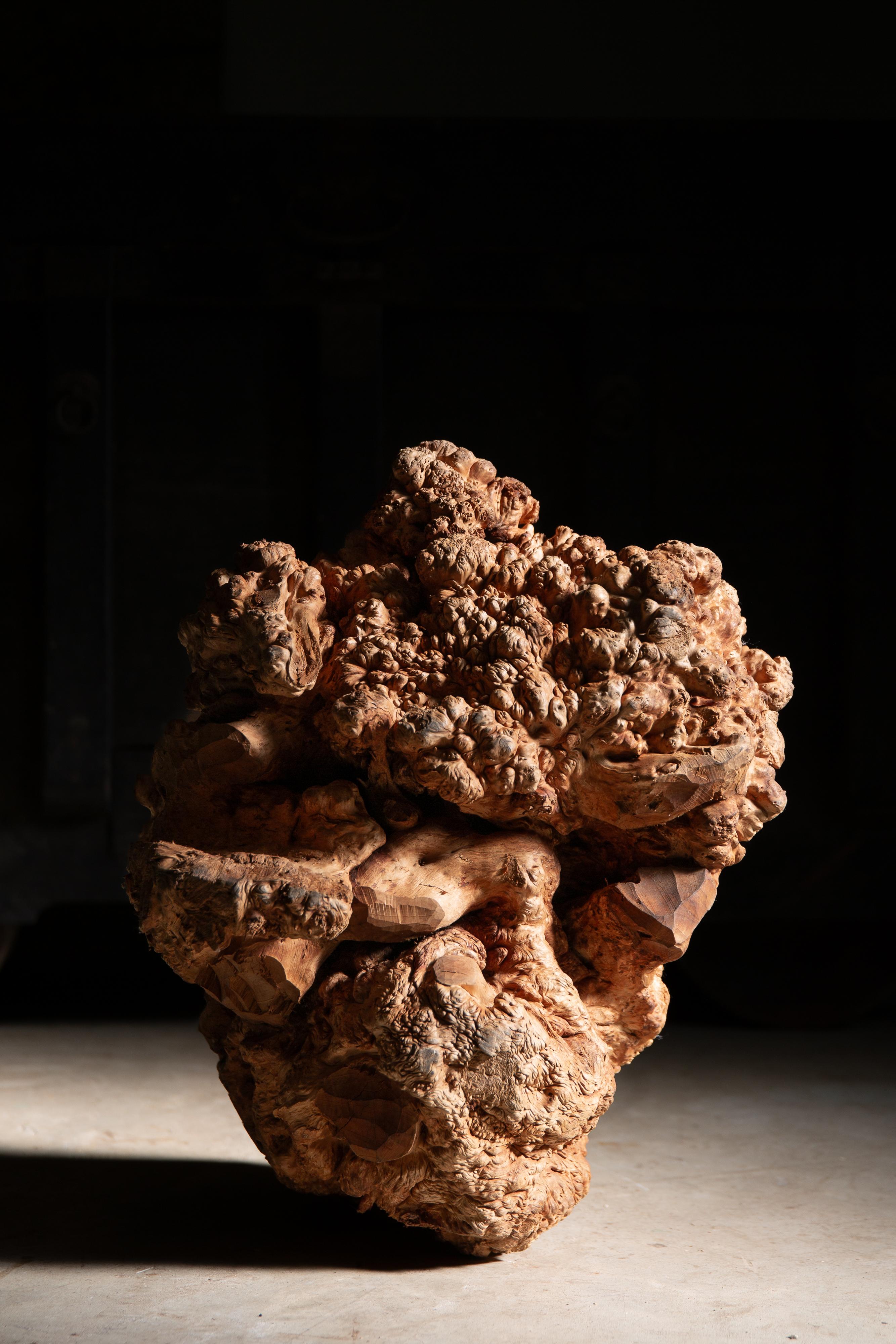 JapanischAntike massive Wurzelholzplatte Skulptur wabi sabi Kunstwerk objet d'art im Angebot 2