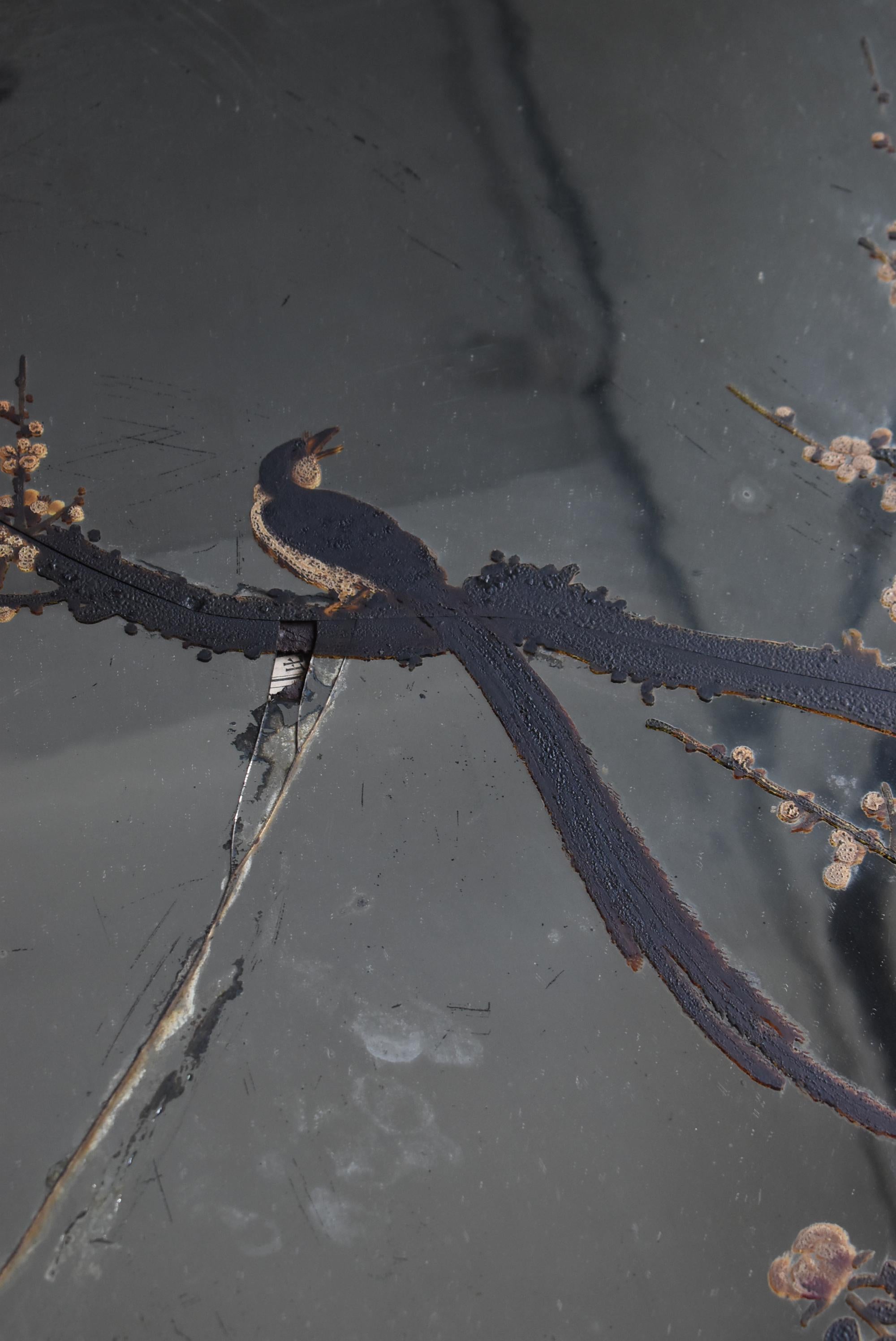 Japanese Antique Mirror Depicting Birds, Plum Blossoms, and Peonies 1860s-1900s For Sale 4