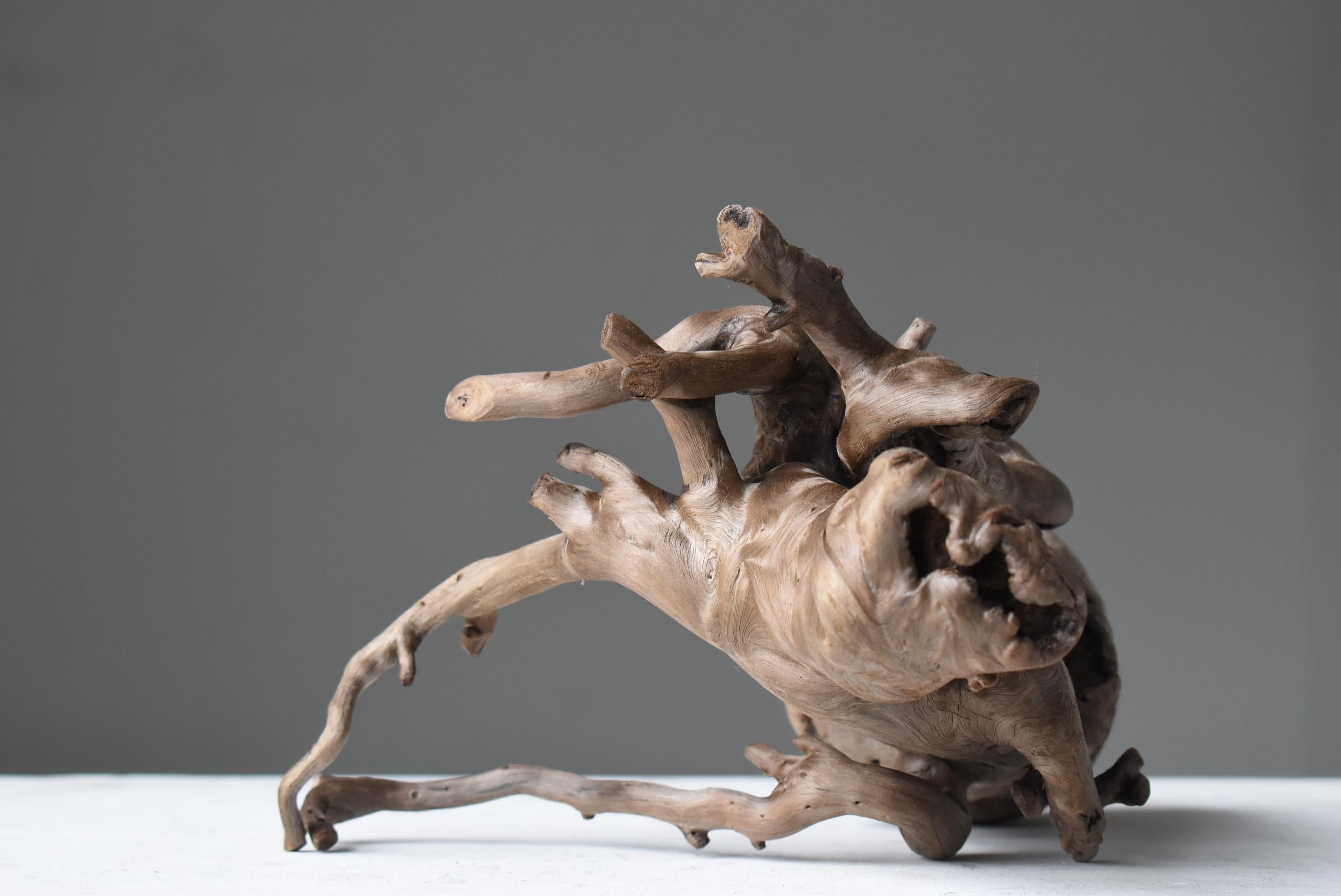 Pénis japonais ancien en bois naturel 1860s-1920s / Figurine Objects for Objects Wabisabi en vente 7