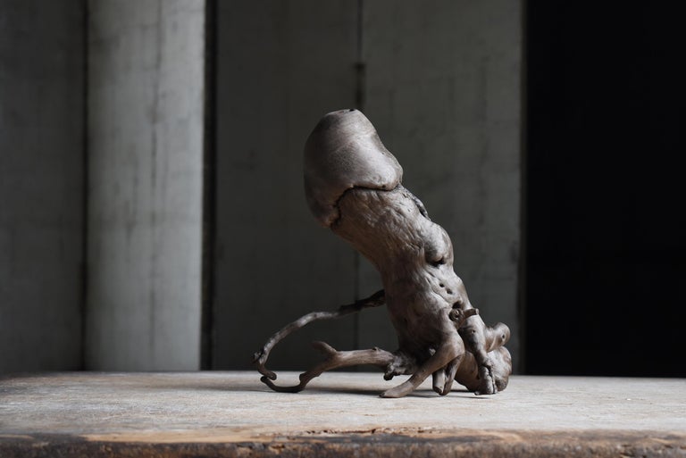 Japanese Antique Natural Wood Penis 1860s-1920s / Figurine Object