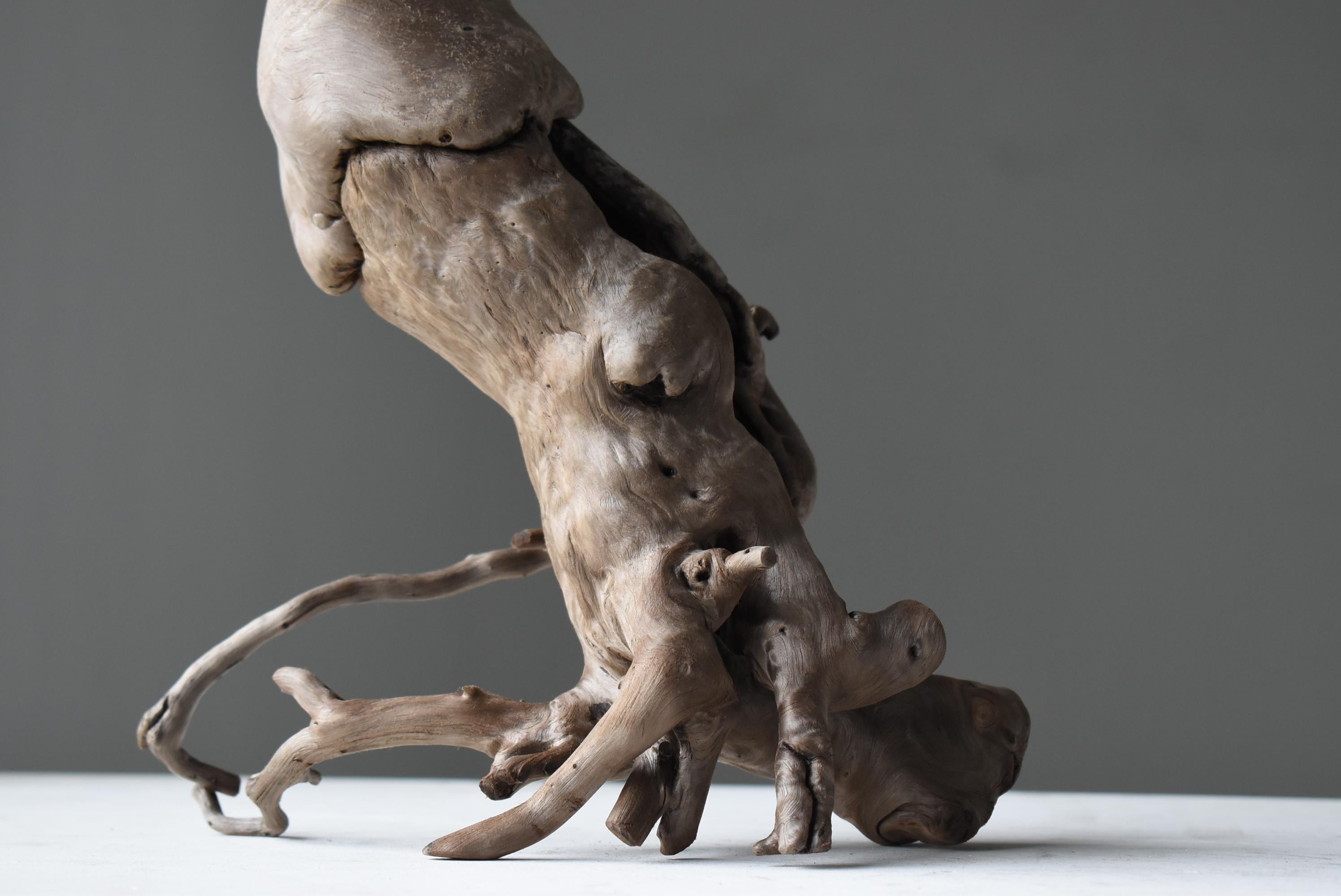 Pénis japonais ancien en bois naturel 1860s-1920s / Figurine Objects for Objects Wabisabi Bon état - En vente à Chōsei District Nagara, JP