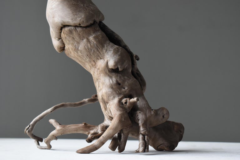 Japanese Antique Natural Wood Penis 1860s-1920s / Figurine Object