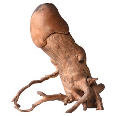 Japanische antike japanische Baumwurzel Penis 1860er-1900er Jahre / Figur Mingei Wabi Sabi