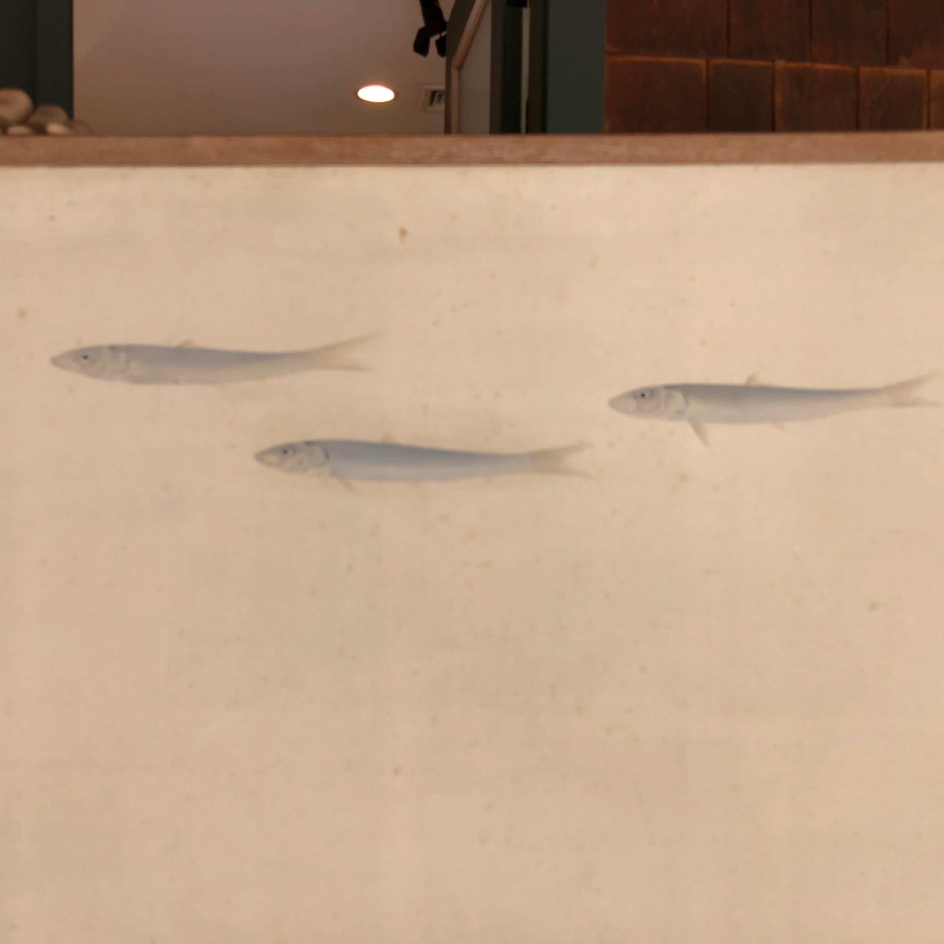 20th Century Japanese Two-Panel Screen With Serene Fish