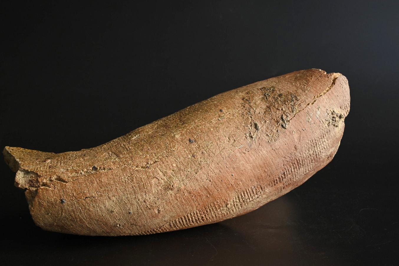 Japanese antique pottery fragments/12th to 13th century/Flower vase For Sale 10