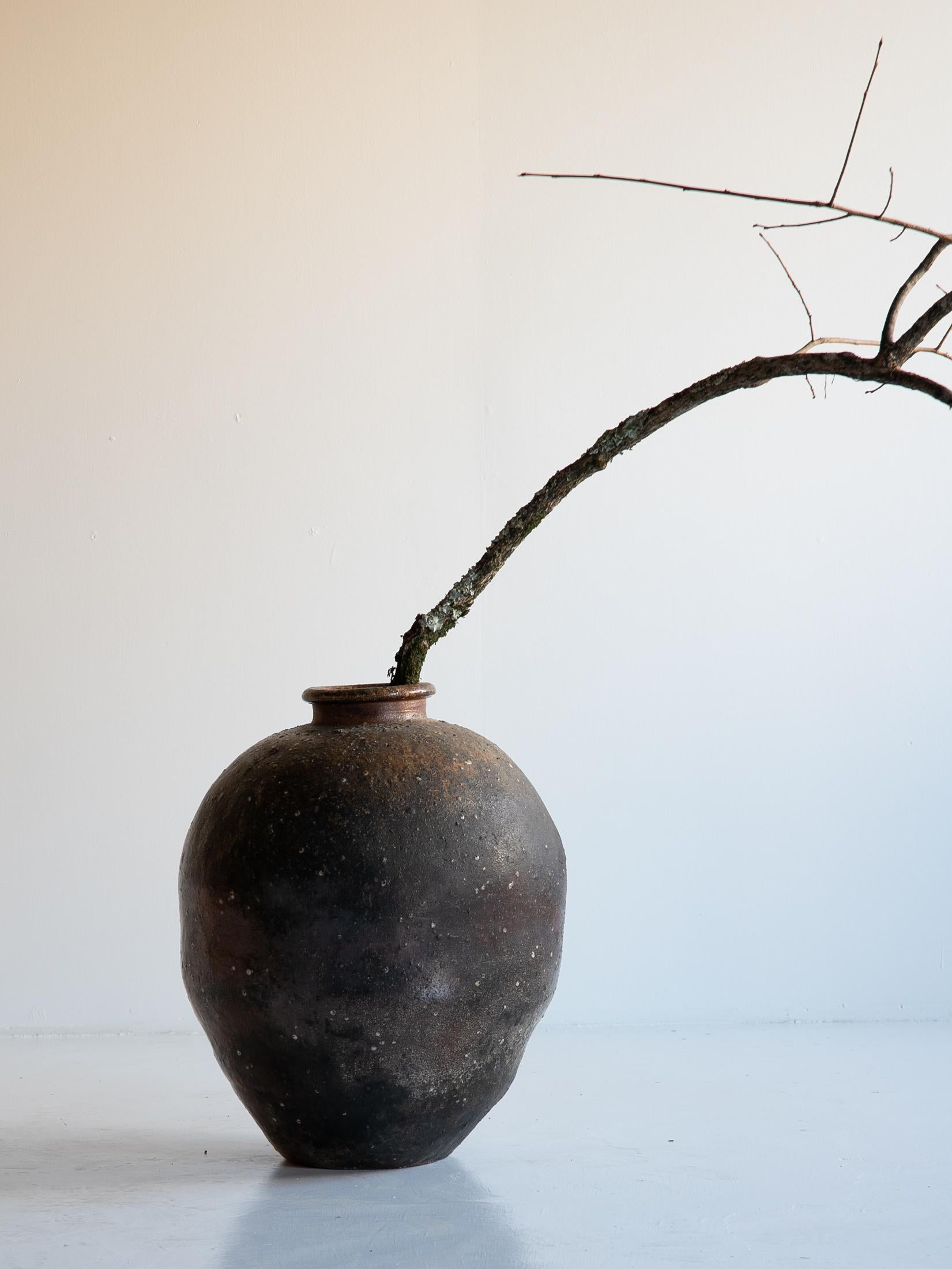 Ich möchte Ihnen einen attraktiven Topf vorstellen, der Ihnen ein Gefühl von Wabi-Sabi vermittelt.
Es handelt sich um 