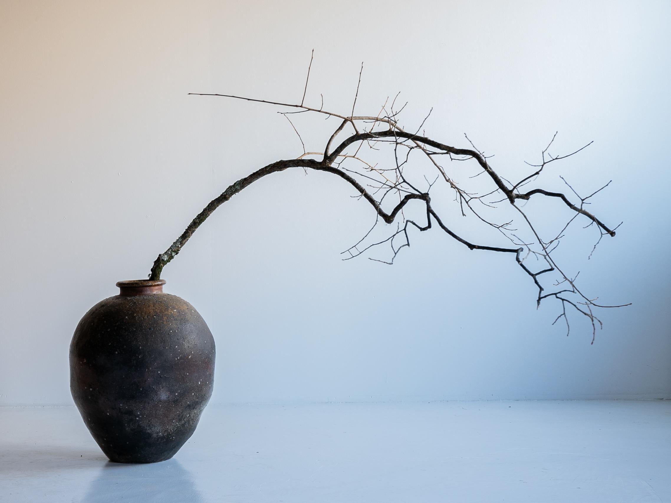 Antikes japanisches Keramikgefäß aus dem 15. bis 16. Jahrhundert/ Wabi-Sabi-Vase/Shigaraki/Shigaraki (Edo) im Angebot