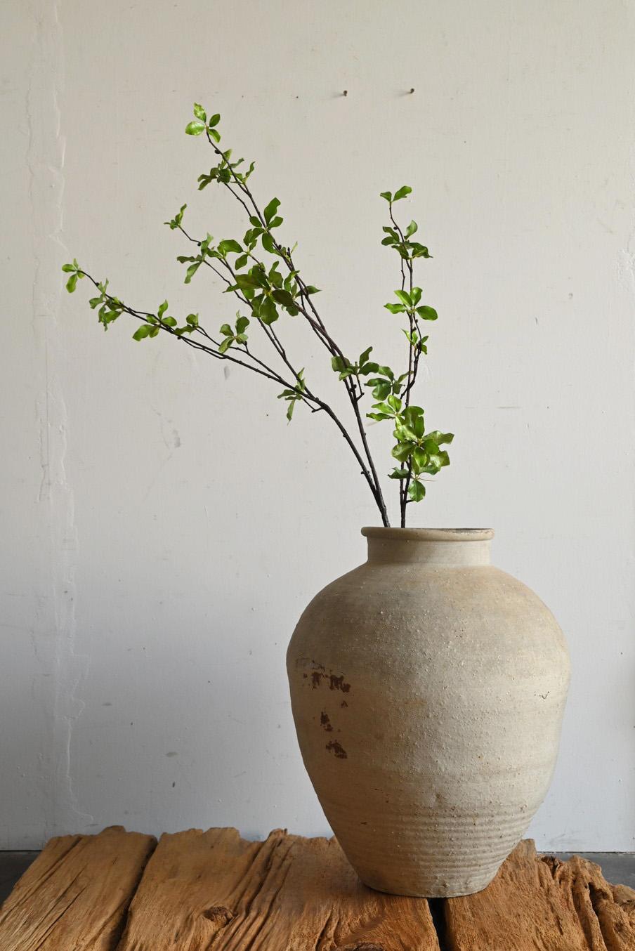 Ceramica antica giapponese, raro vaso Shigaraki ware/ Vaso bianco grigiastro Whiting in vendita 5