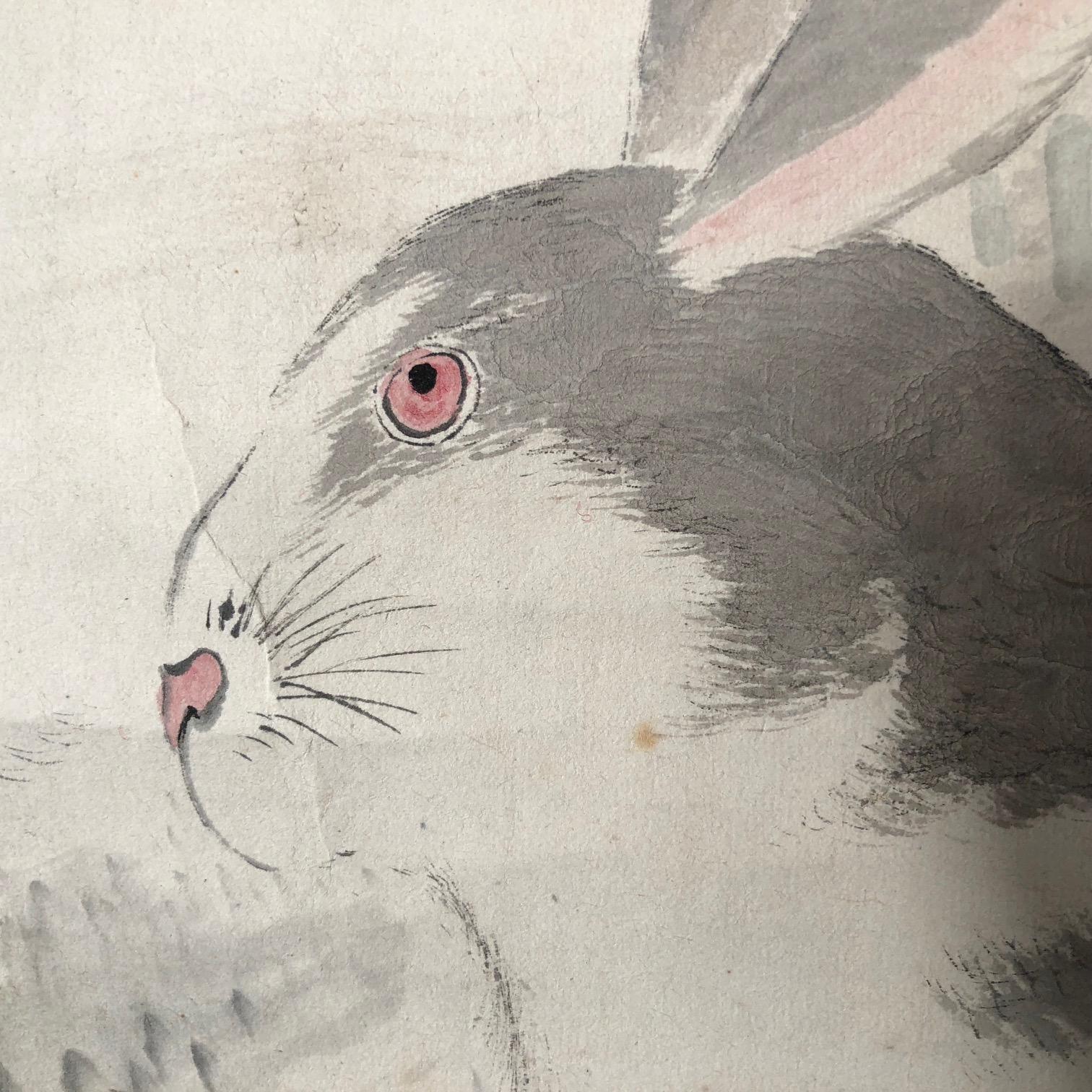 white rabbit in a snowstorm