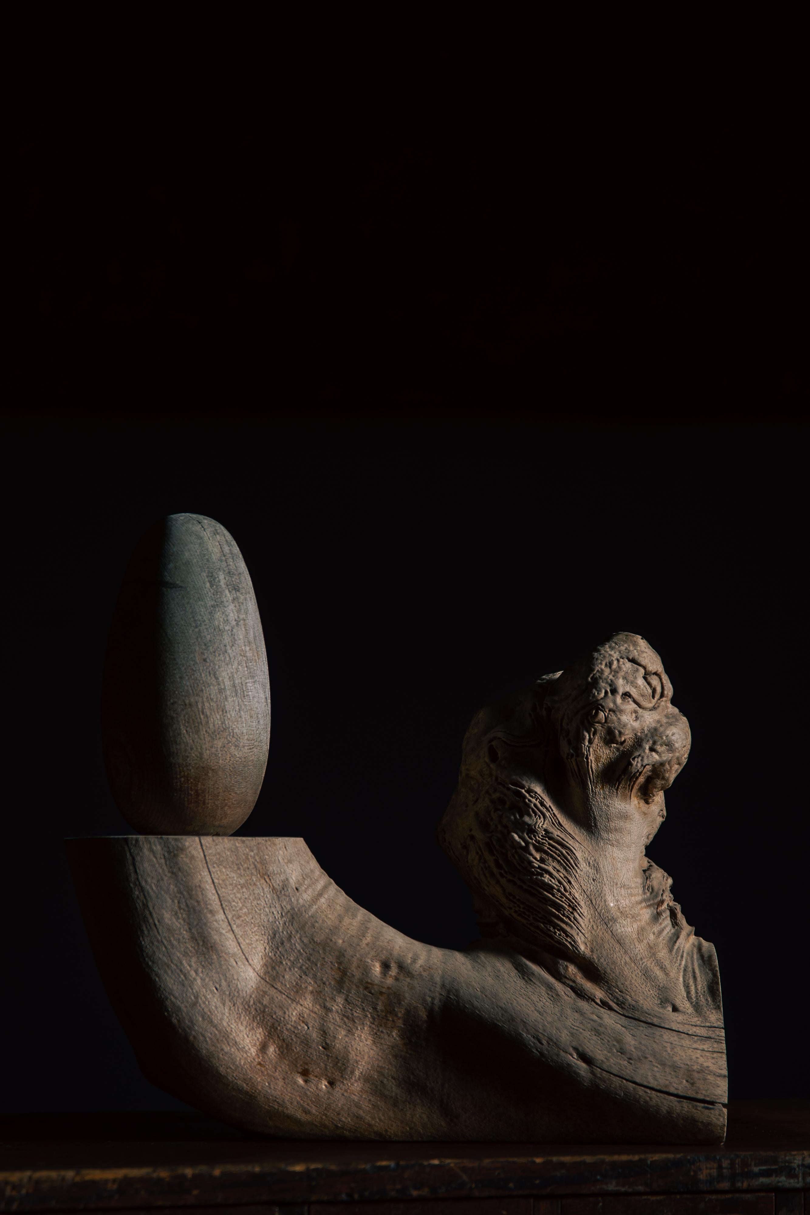 Tree root display stand (Dai), made from antique wood burl, which looks like a lion dog / Komainu / Foo dog.
The product of 1930s to 50s (mid Showa period) estimate from the style & condition, the wood material itself is more older, antique wood.

