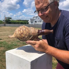 Japanese Antique Samurai Conch War Trumpet Horagi