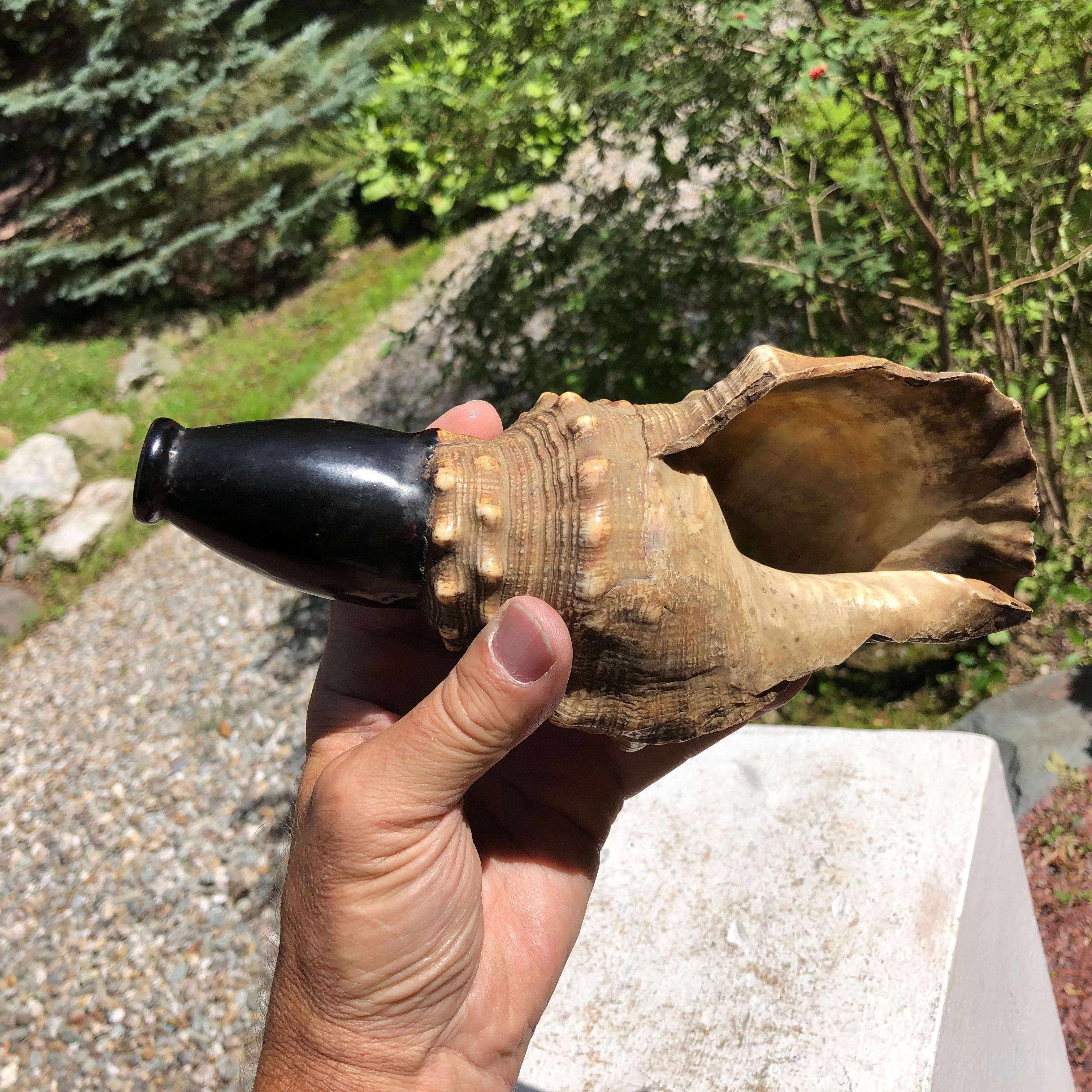 Japanese Antique Samurai Conch War Trumpet Horagi, Meiji Period In Good Condition In South Burlington, VT