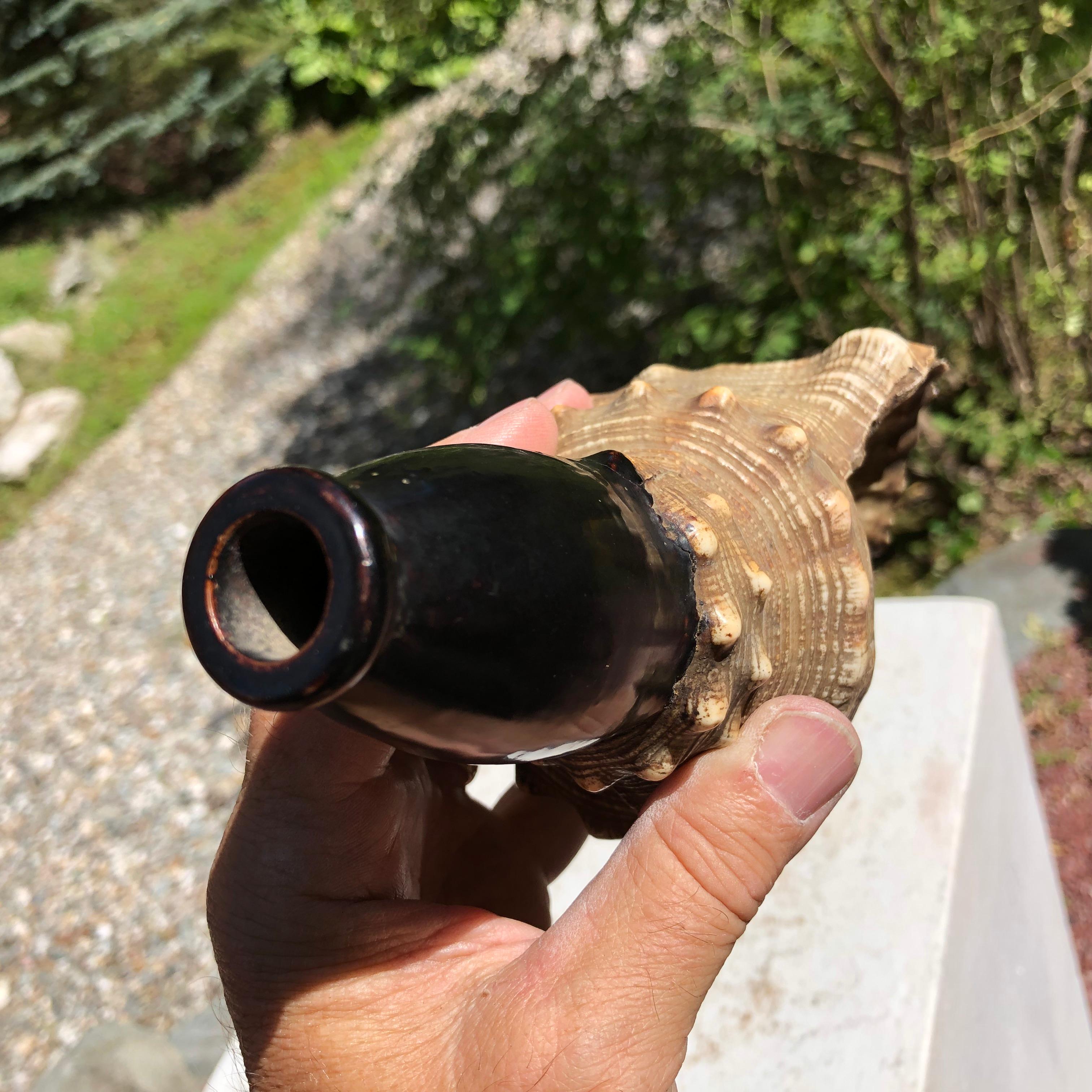 19th Century Japanese Antique Samurai Conch War Trumpet Horagi, Meiji Period