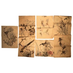 Japanese Antique Set 60 Hand Paintings Birds, Turtle, and Dragonfly and Album