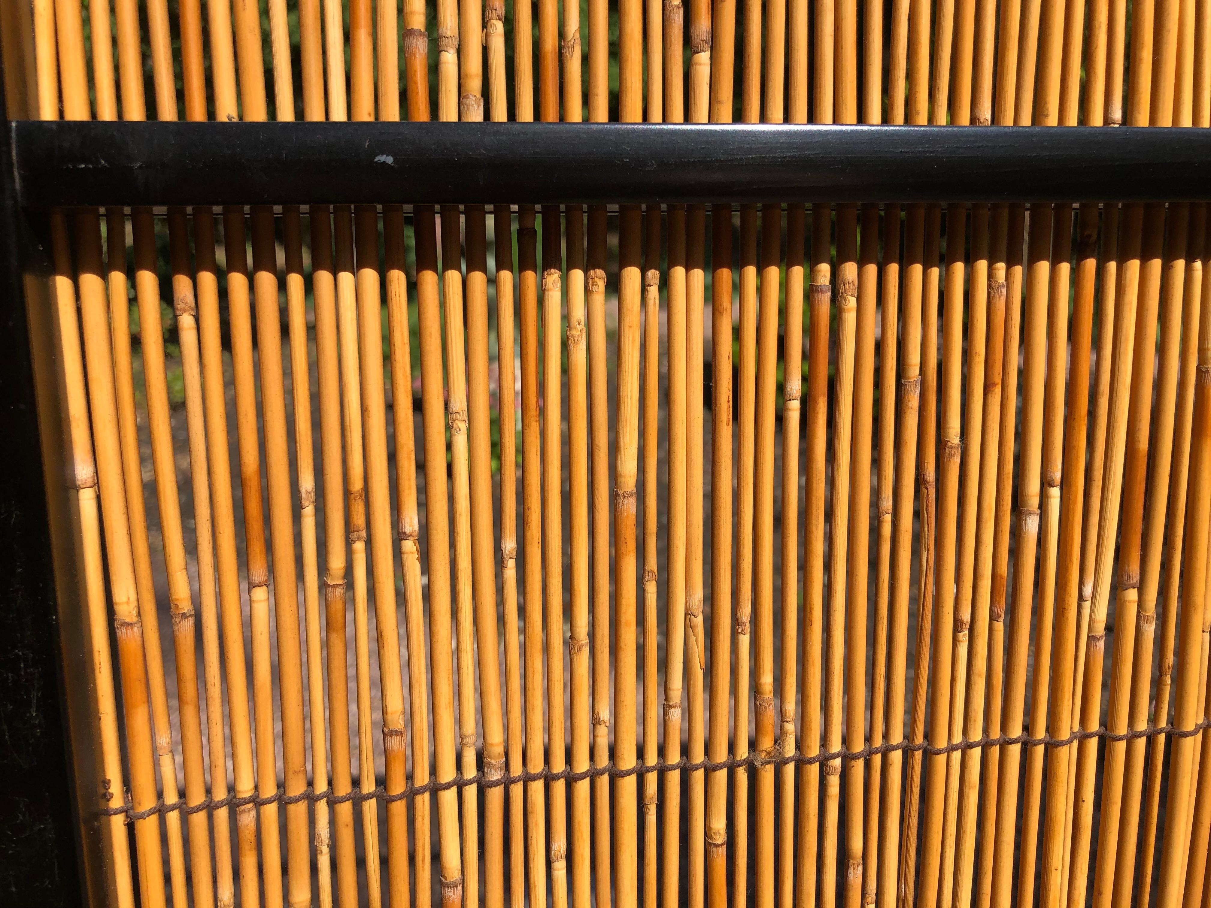 Japanese Set of Four Fine Black Lacquer Shoji Doors Screens Birds & Bamboo 2