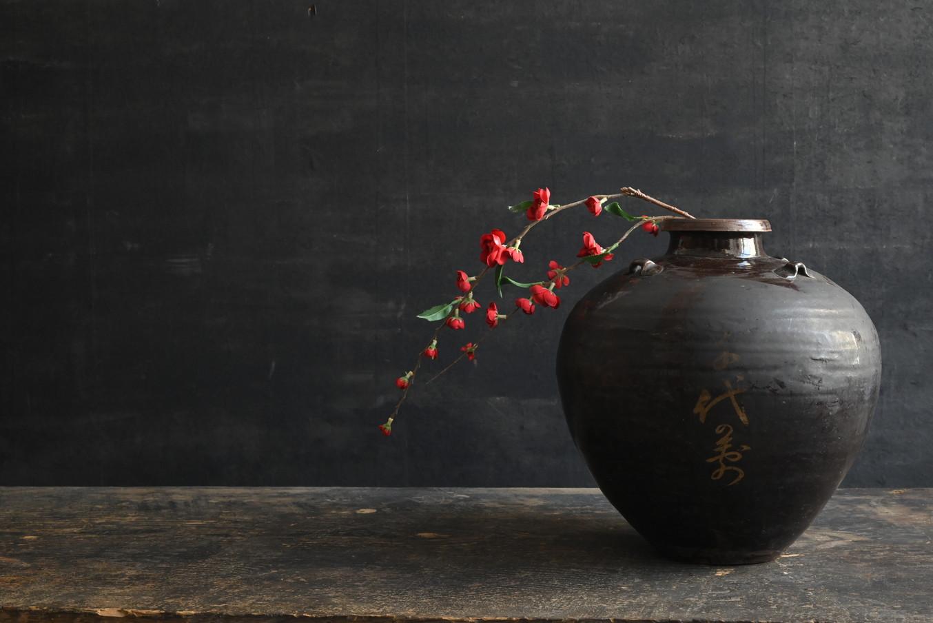 Antike Chinesische Keramik 【Luzon Jar】/Eisen-glasierte Teekanne/15. bis 18. (Sonstiges) im Angebot