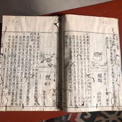 Japanese Antique Shell Fish Woodblock Guide Book Dated 1712
