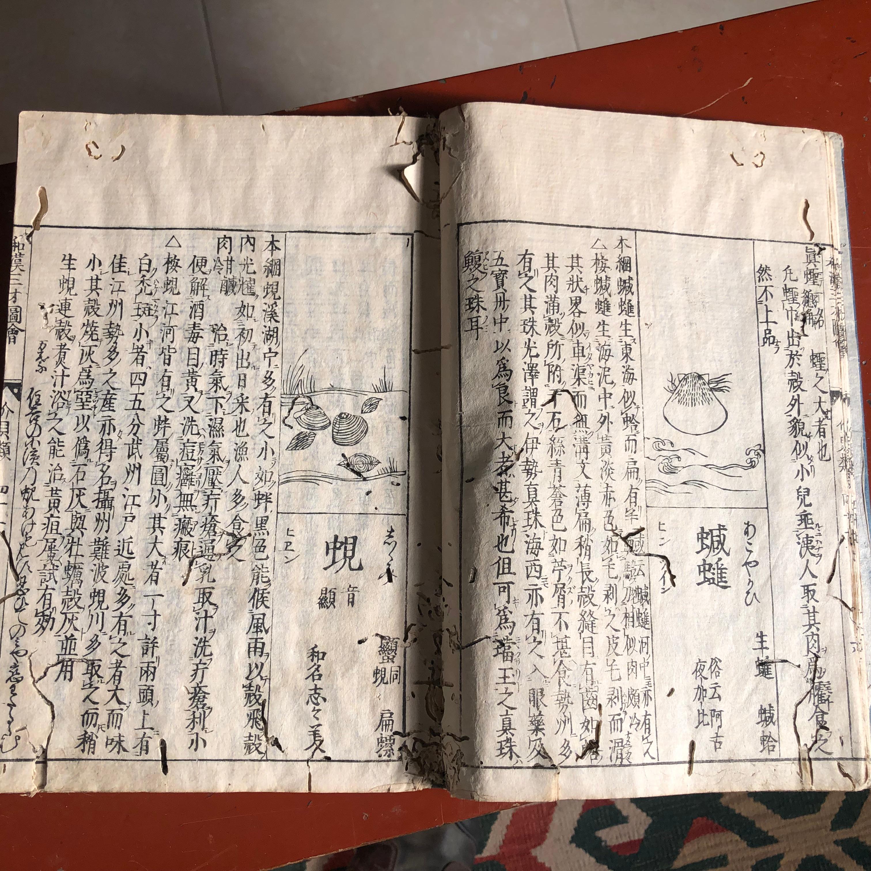 Hand-Crafted Japanese Antique Shell Fish Woodblock Guide Book Dated 1712, Rare Edition