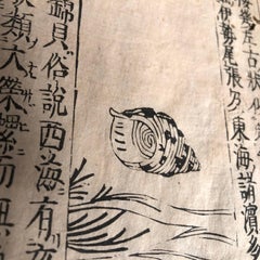 Japanese Antique Shell Fish Woodblock Guide Book Dated 1712