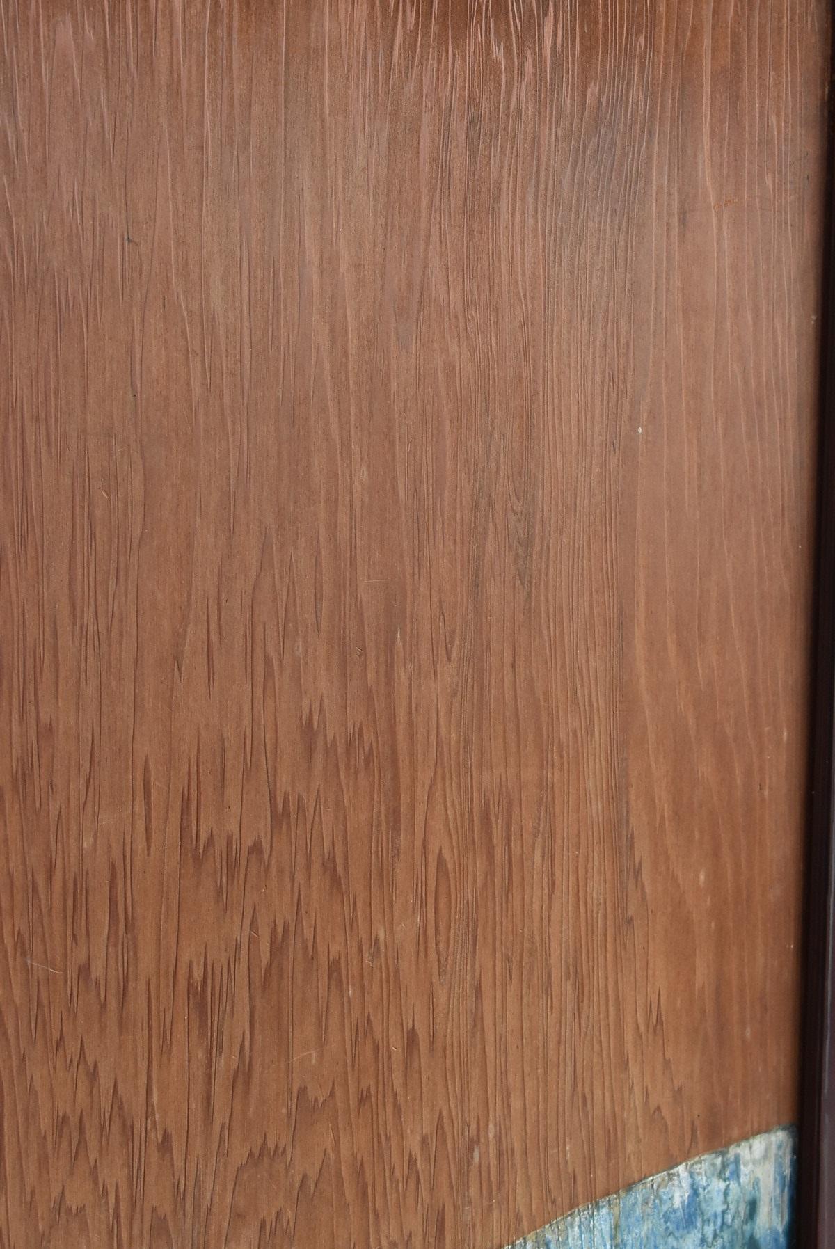 20th Century Japanese Antique Sliding Door / Wooden Door with Birds / Painting / Partition