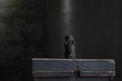 Japanese Antique Stone Craving Monkey 1860s-1900s / Buddhist Art Wabi Sabi