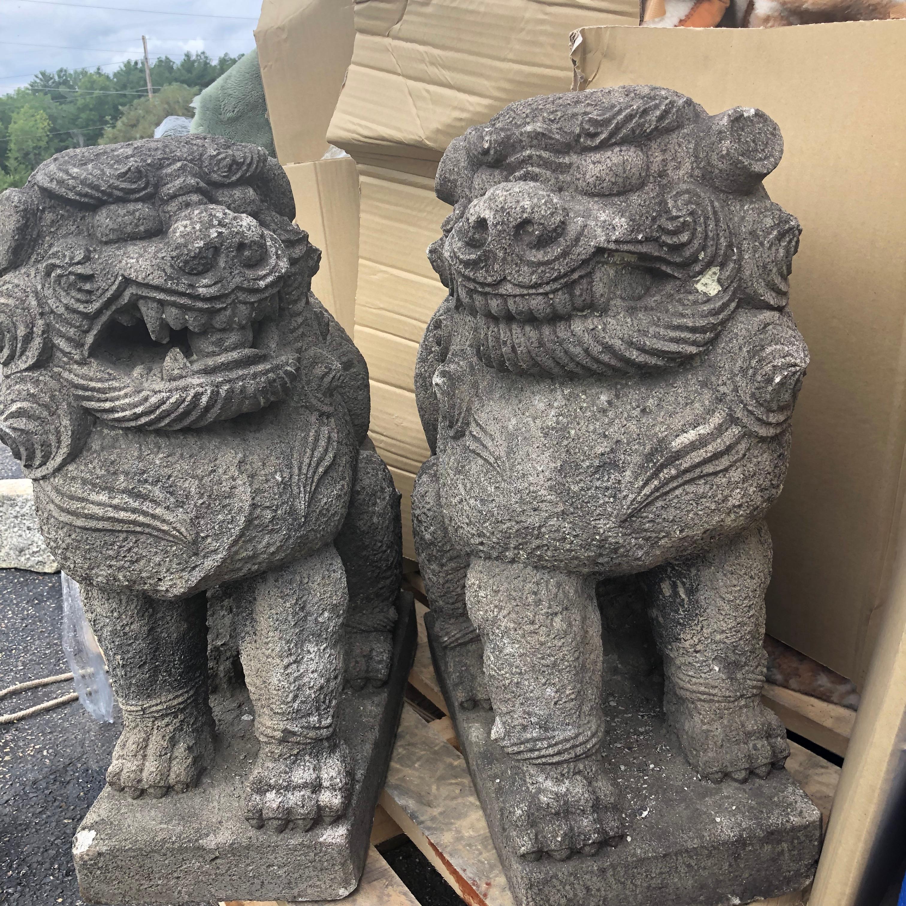 From our recent Japanese Acquisitions Travels

Japanese fine pair old Meiji period hand carved stone Komainu Lion-dog temple guardians. 

Fine condition with original patina just the way we like to find them. 

Dimensions: Each 23 inches tall