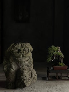 Japanese Antique Stone Komainu (Guardian Lion-Dog)Sculpture/1600s~1680s Wabisabi