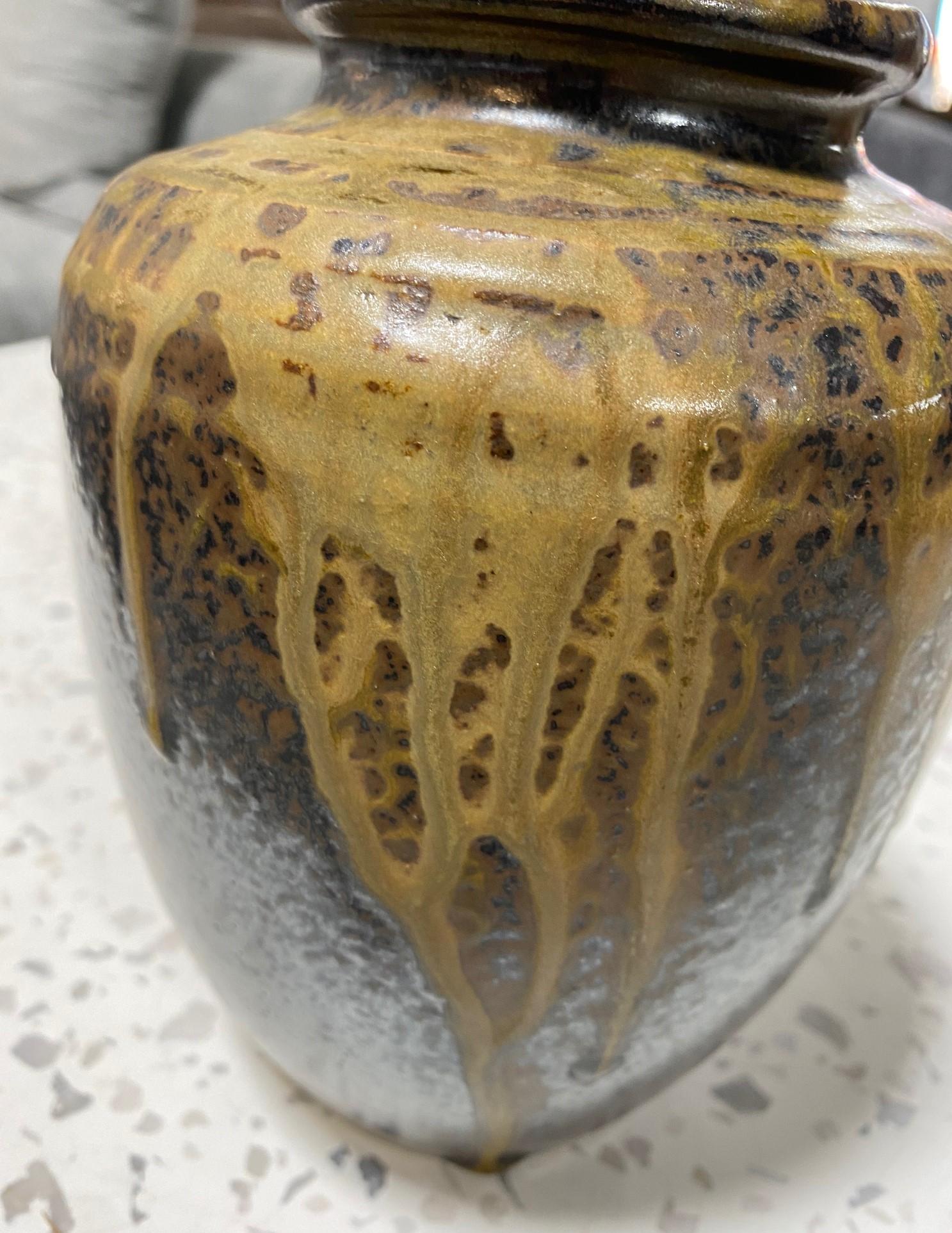 Japanese Antique Tamba Tanba Ware Natural Ash Glaze Wab-Sabi Pottery Vase Jar 5