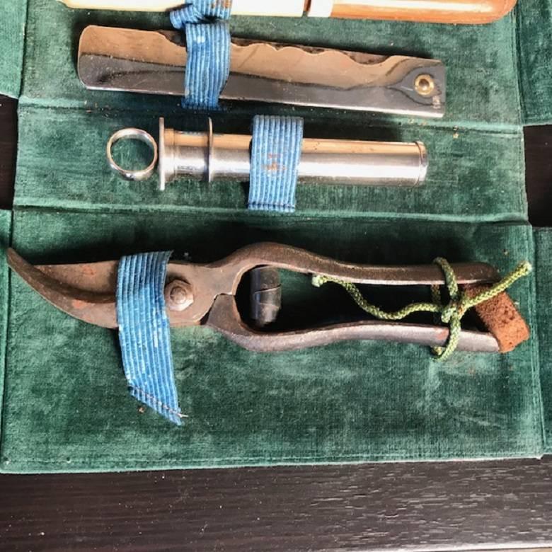 antique bonsai scissors