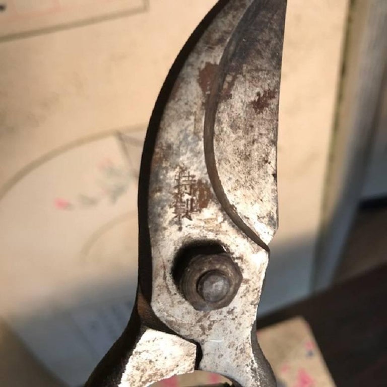 Japanese Antique Tool Kit of Four Professional Bonsai Pruning Tools at