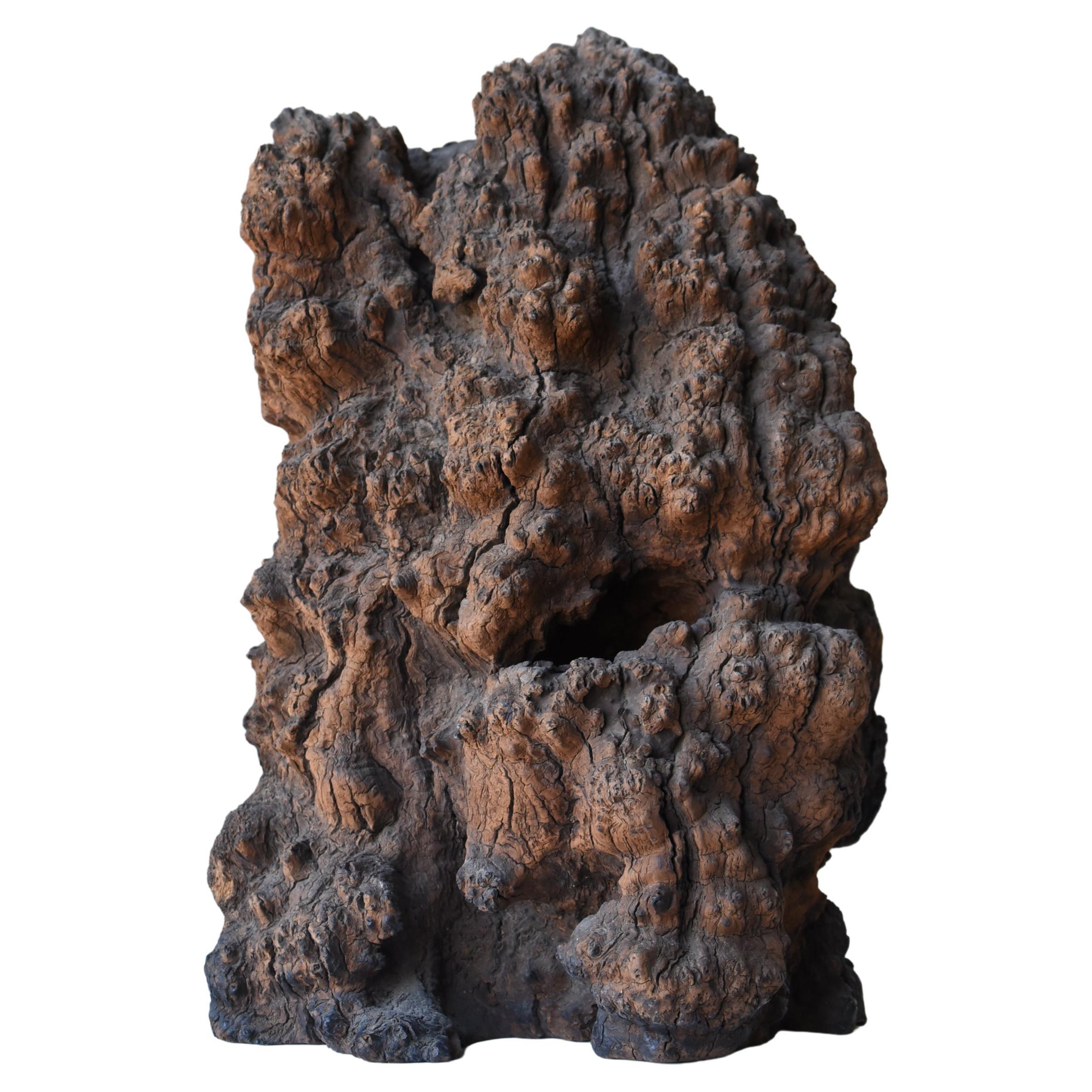 Japanese Antique Tree Bump "Buddha" 1800s-1860s/Mingei Folk Art Wabisabi Object