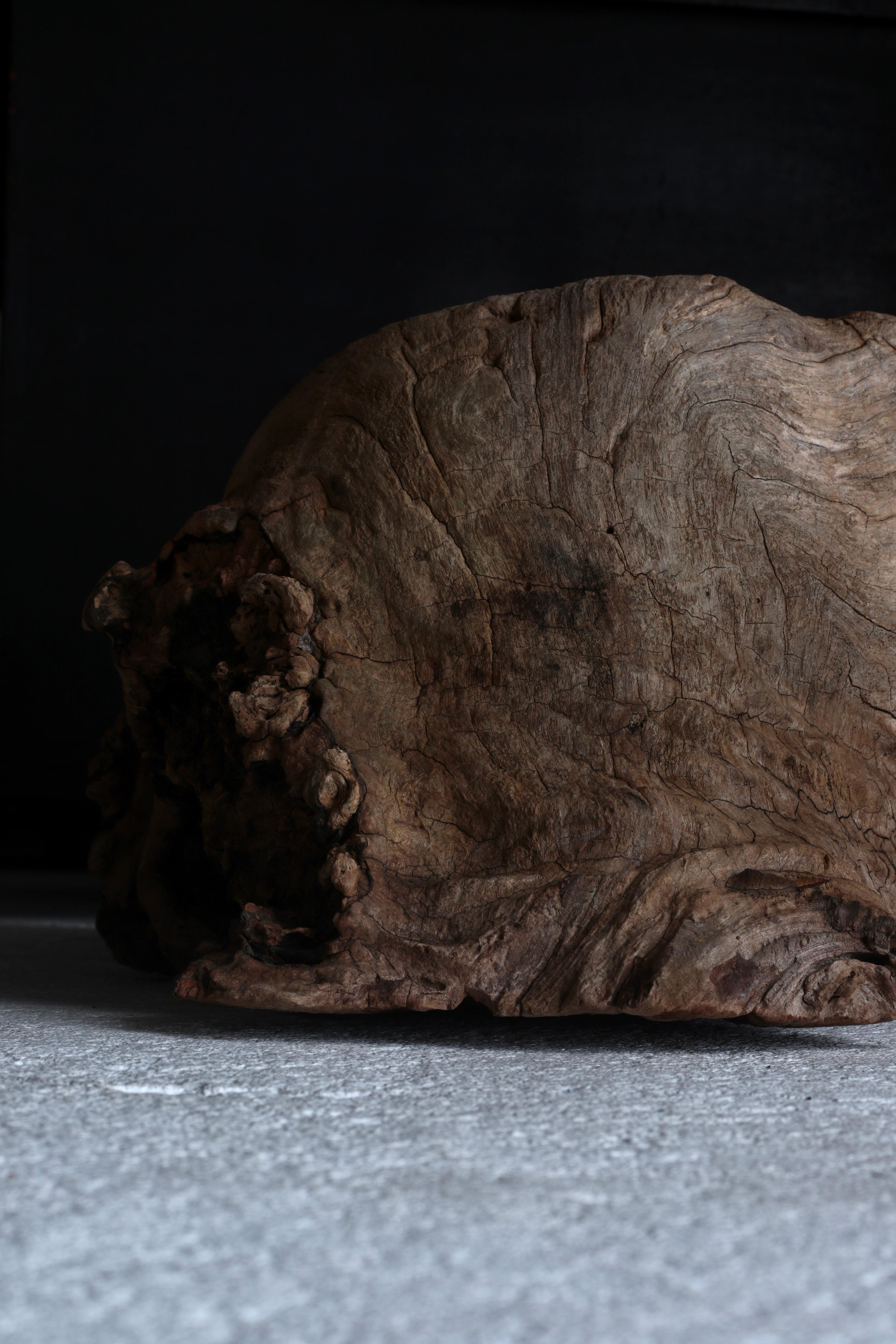 Japanese Antique Tree Bump / Object Flower Stand /1968-1912s Primitive Wabi-Sabi In Good Condition For Sale In Iwate-gun Shizukuishi-cho, Iwate Prefecture