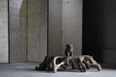 Japanese Antique Tree Root Low Table 1860s-1920s / Display Table Wabi Sabi