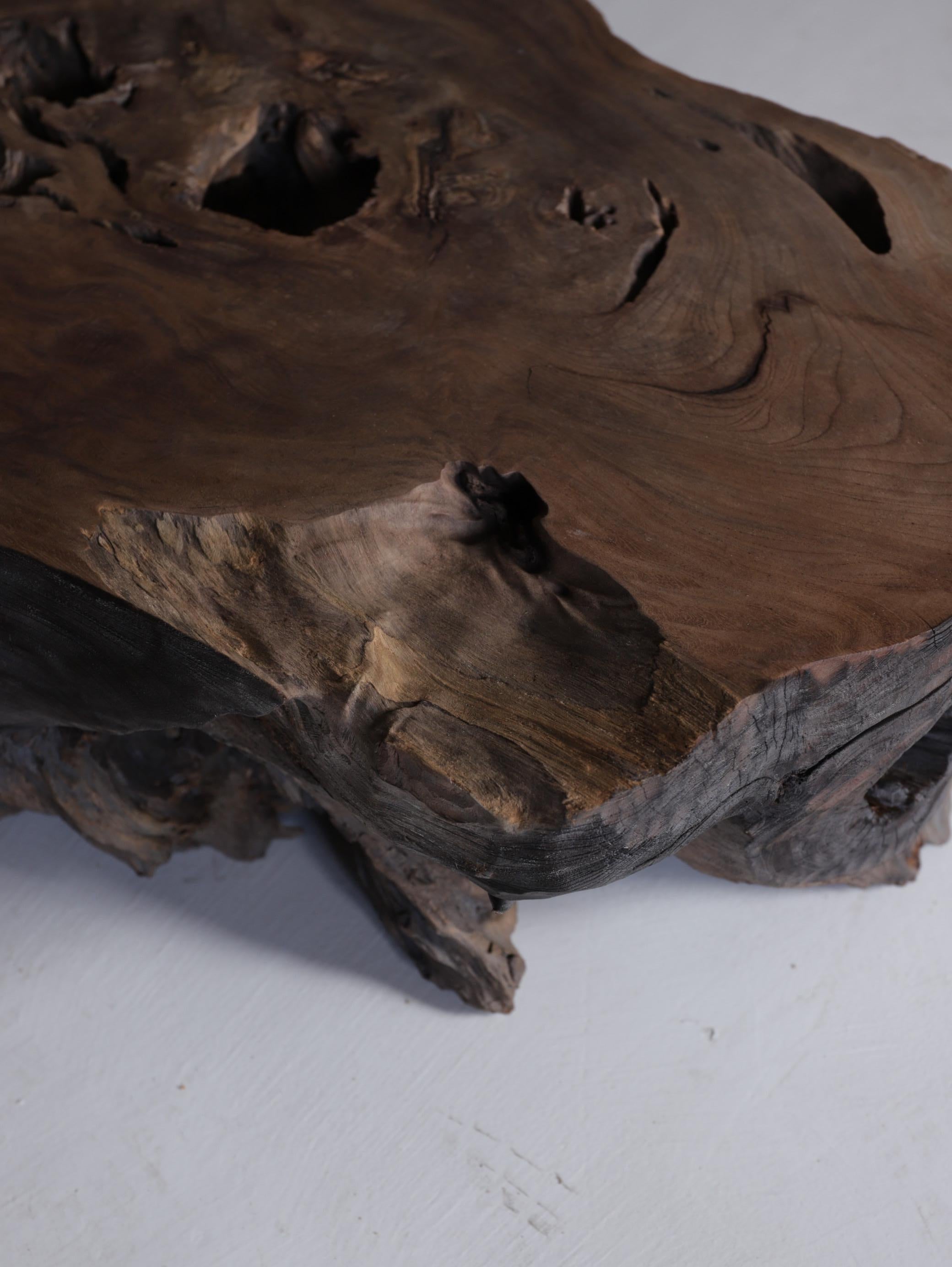 Japanese Antique Tree Root Side Table 1860s-1920s /  Wabisabi 9