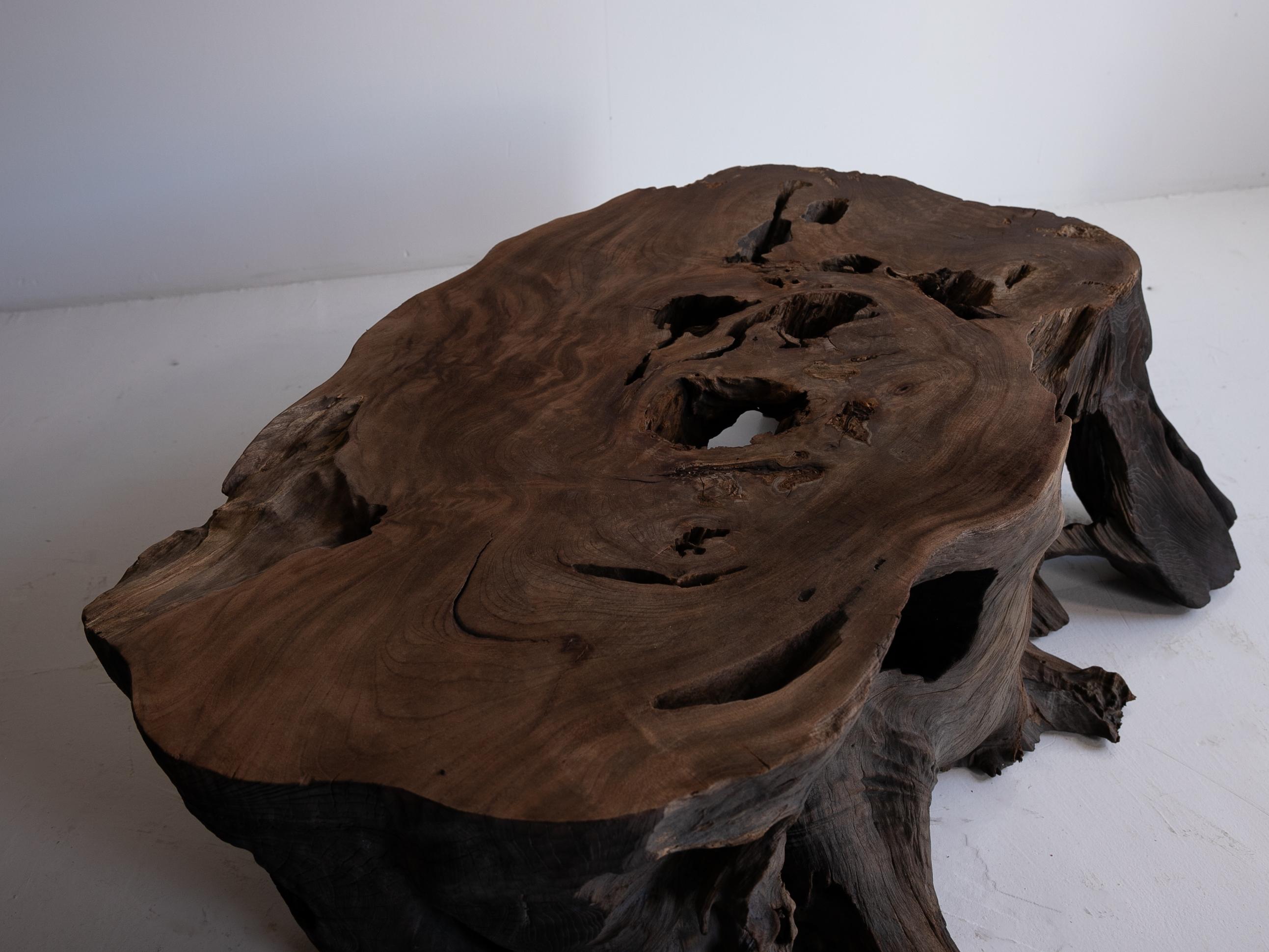Japanese Antique Tree Root Side Table 1860s-1920s /  Wabisabi 11