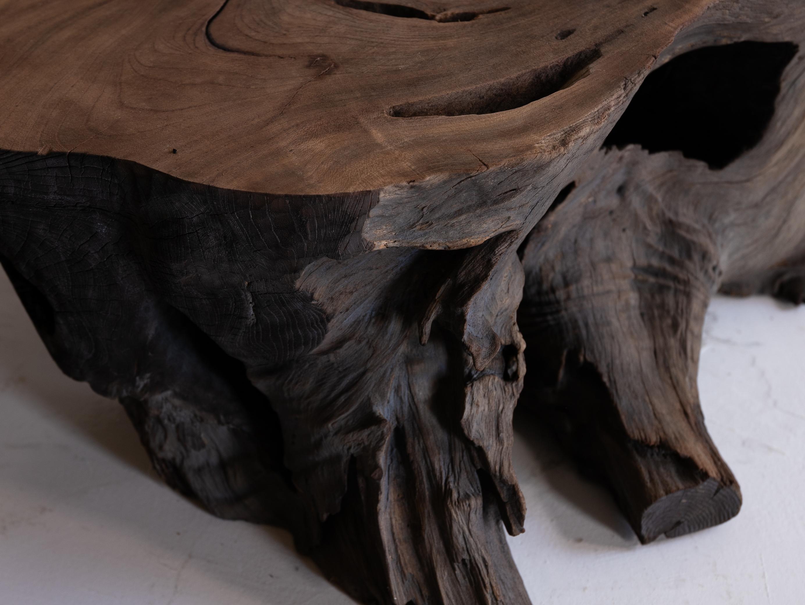 Japanese Antique Tree Root Side Table 1860s-1920s /  Wabisabi 12