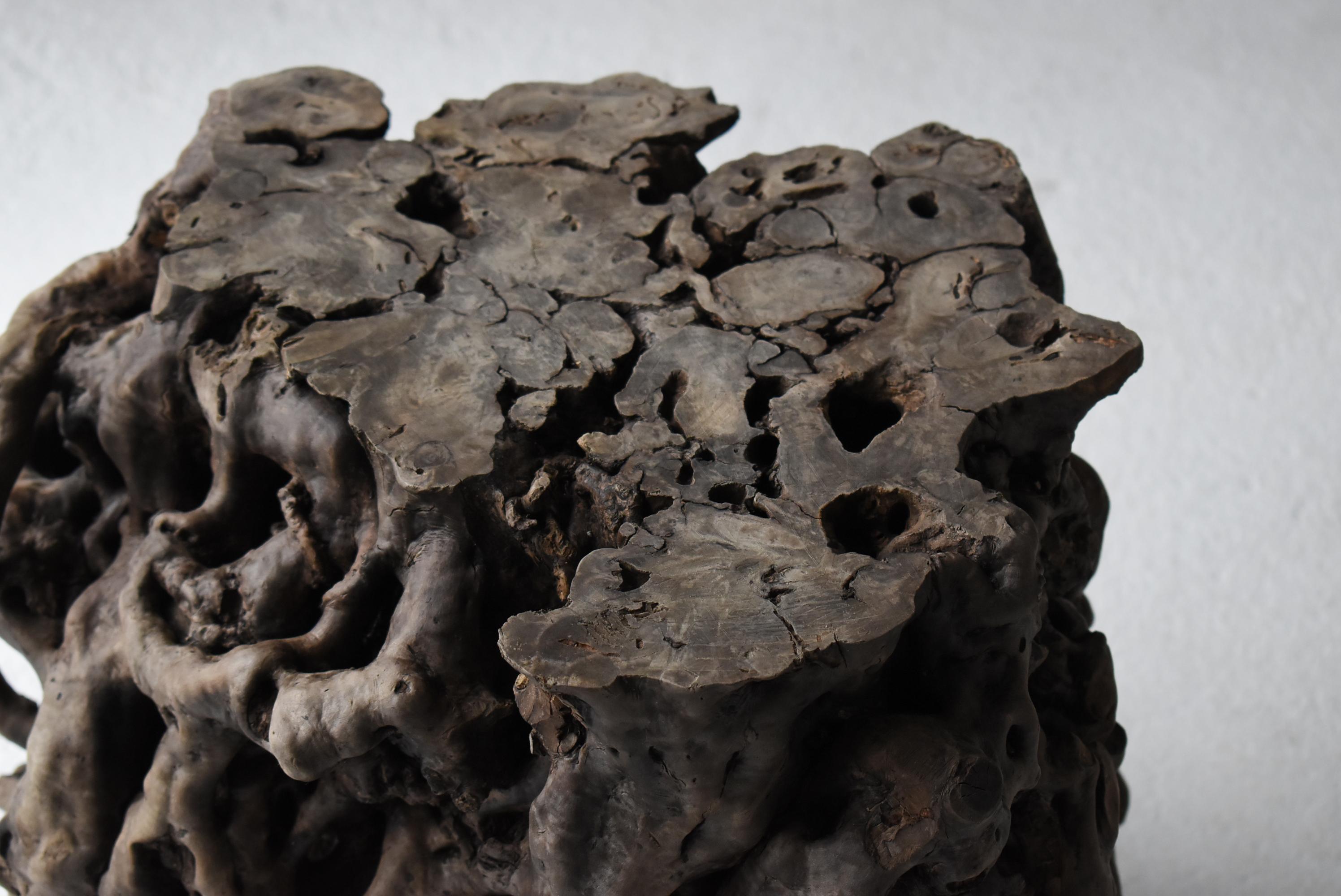 Japanese Antique Tree Root Stool 1860s-1920s / Side Table Wabisabi In Good Condition In Sammu-shi, Chiba