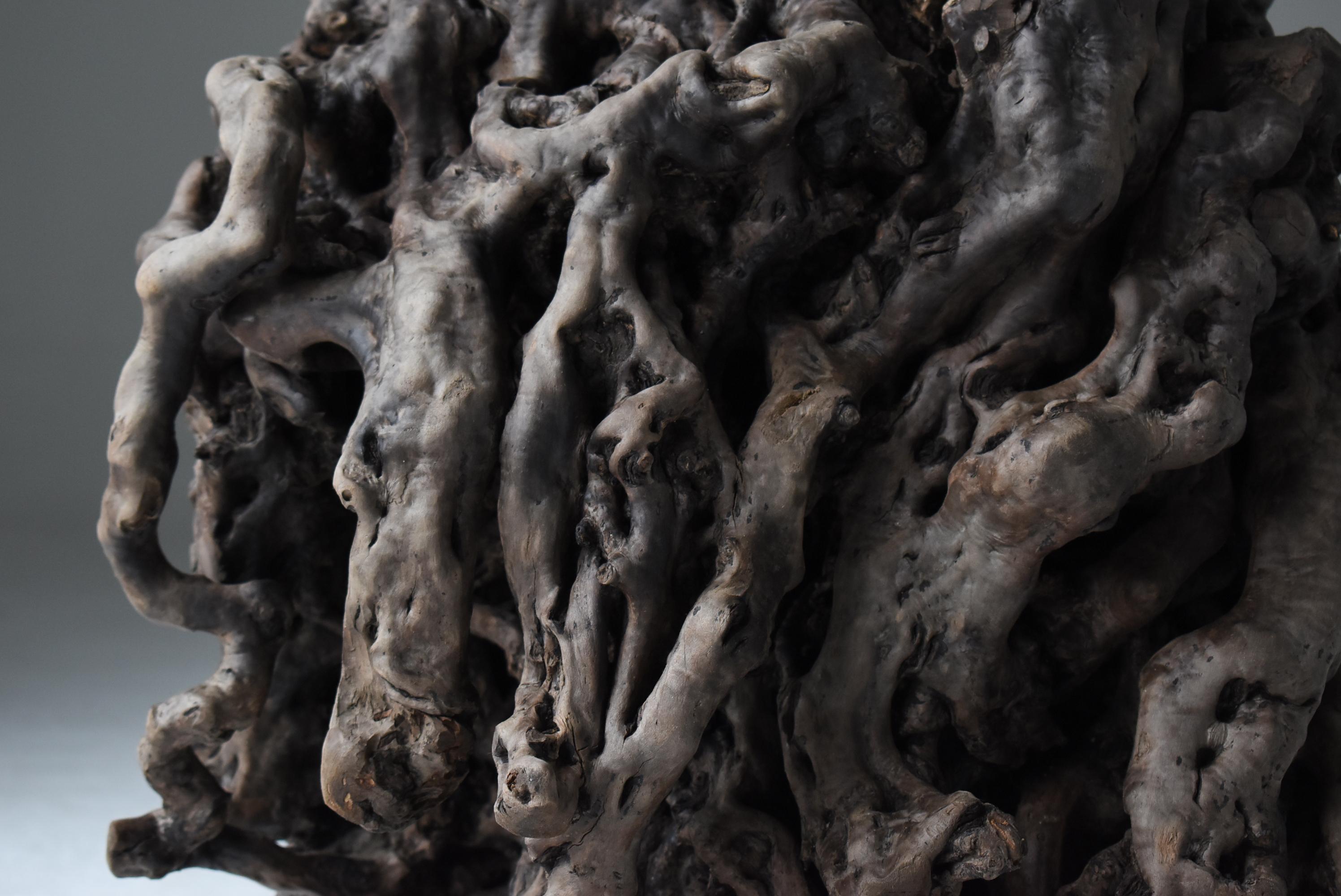 Wood Japanese Antique Tree Root Stool 1860s-1920s / Side Table Wabisabi