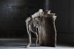 Divisorio giapponese antico Wabi-Sabi con radici d'albero 1860-1900 /Schermo Primitivo