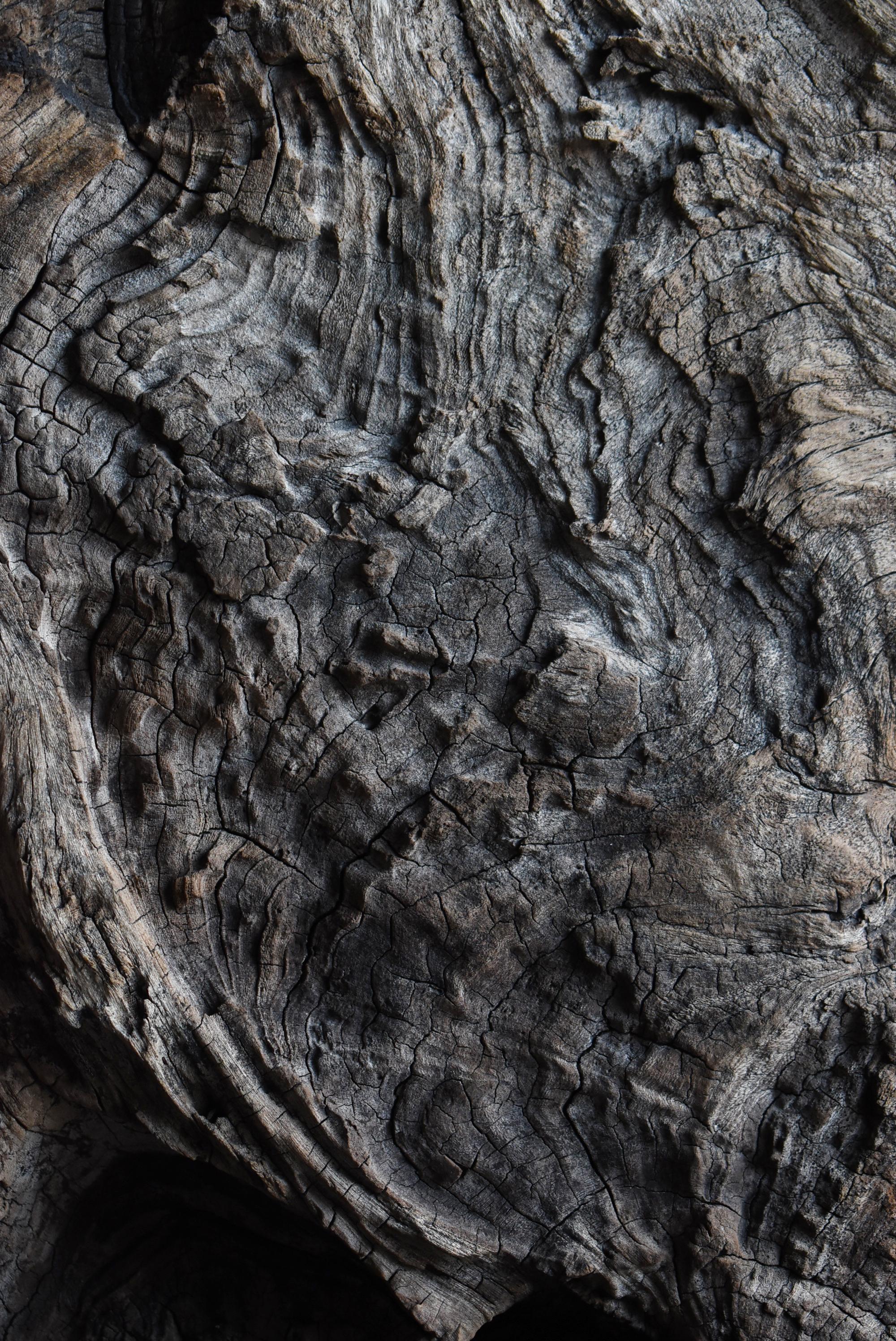 Antico blocco di legno giapponese Wabi-Sabi Weathered Keyaki 1900s-1940s / Figurina In condizioni buone in vendita a Chōsei District Nagara, JP