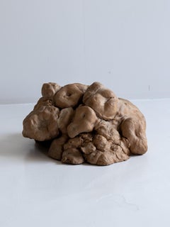 Colgante de Pared Antiguo Japonés Árbol Bump 1860s-1900s / Objeto Mingei Wabi Sabi