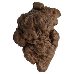 Japanese Antique Wall Hanging Tree Bump 1860s-1900s / Object Mingei Wabi Sabi