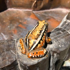 Japanese Antique Whimsical "Frogs" Planter Bowl