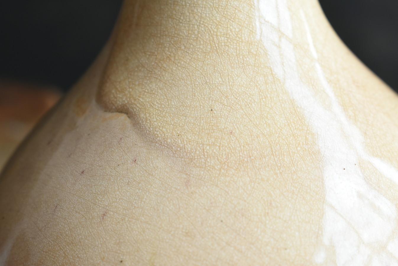 Japanese antique white-glazed sake bottle / [Satsuma ware] vase / 1700-1800s For Sale 7
