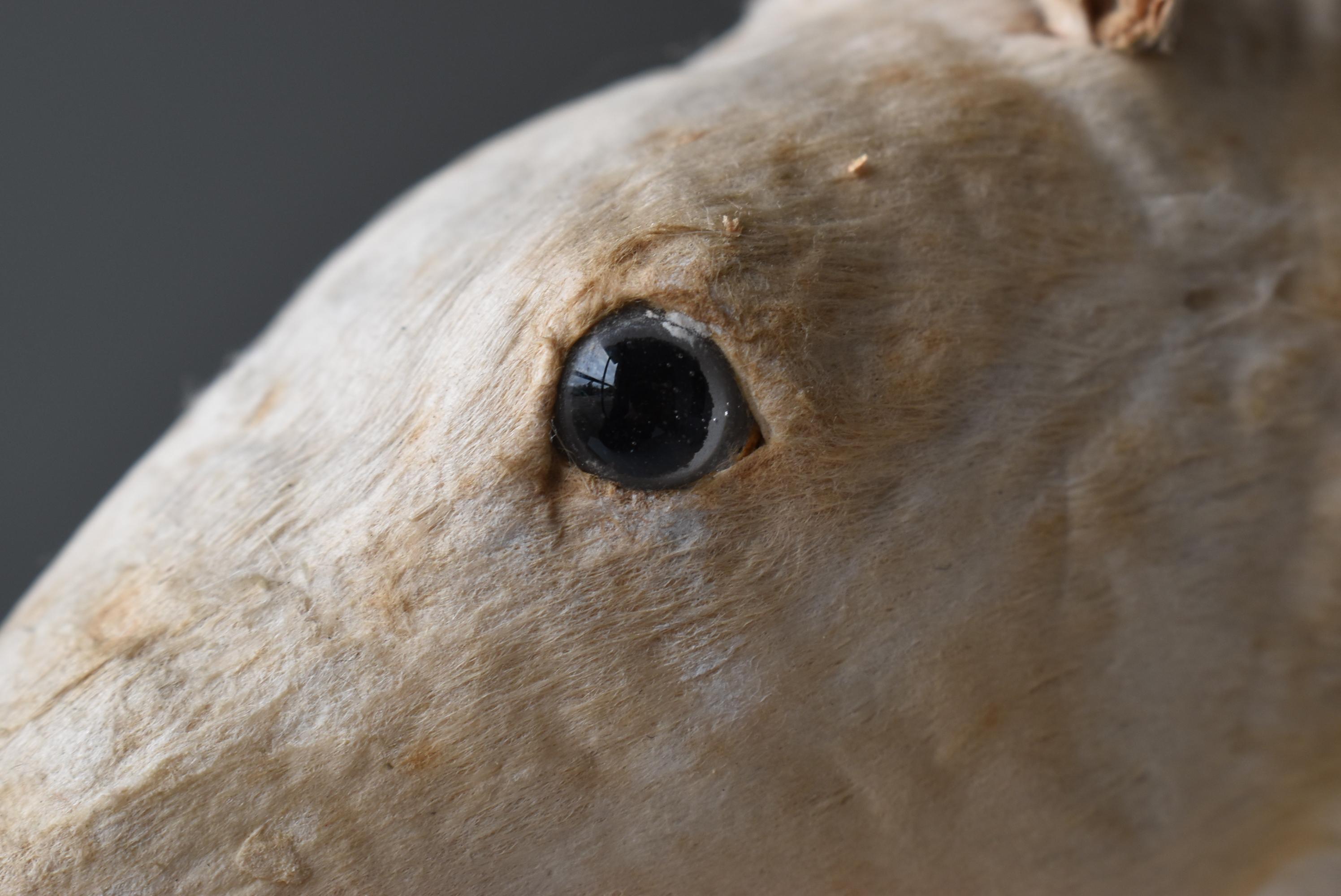 20th Century Japanese Antique White Horse Figurine 1920s-1940s / Wabisabi Object