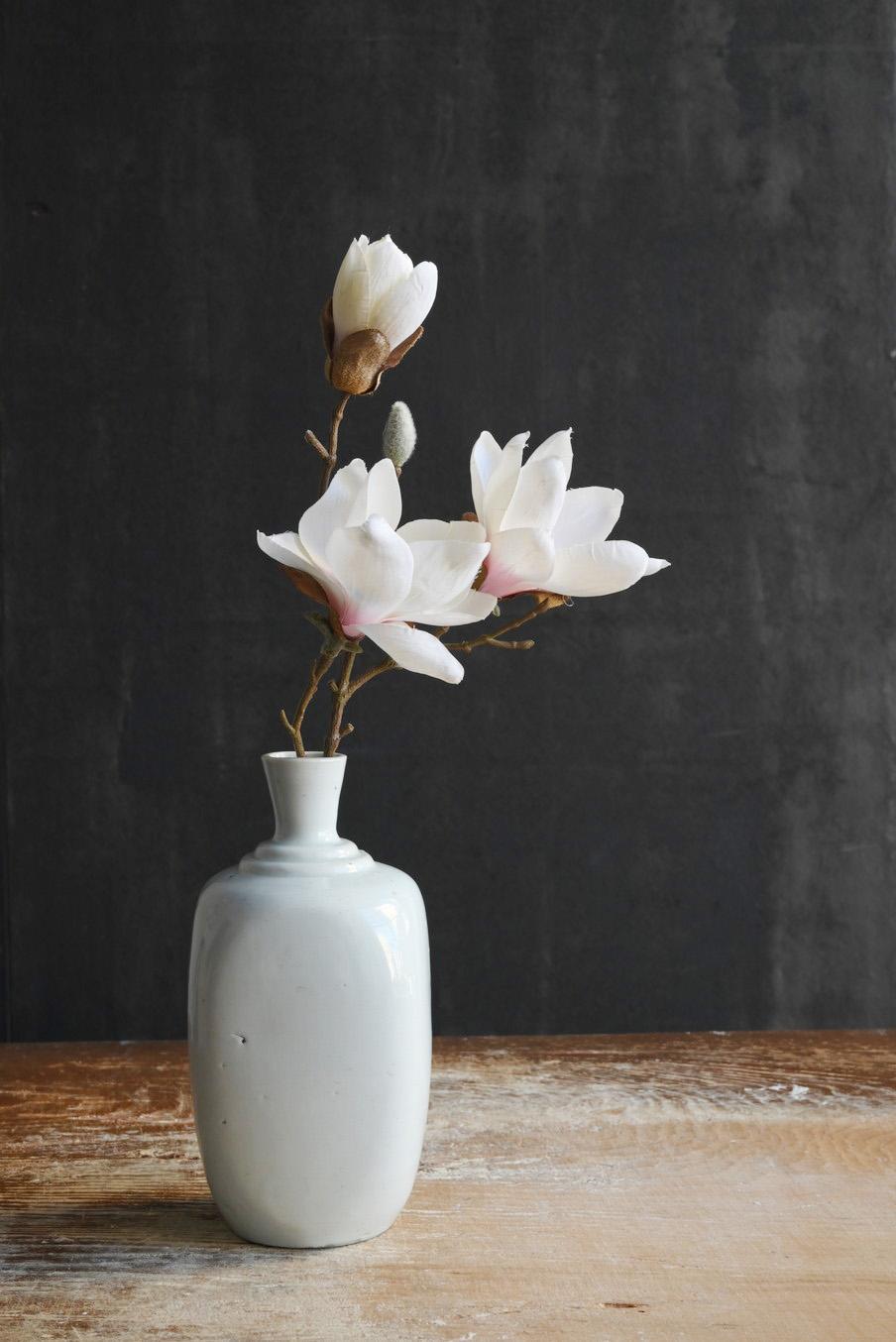 This is a white porcelain sake bottle made at the end of the Edo period.
The name of this pottery is Iwayaki.
The Yako was built in Hikino-cho, Fukuyama City, Hiroshima Prefecture.
(The location marked with a red circle on the map is the