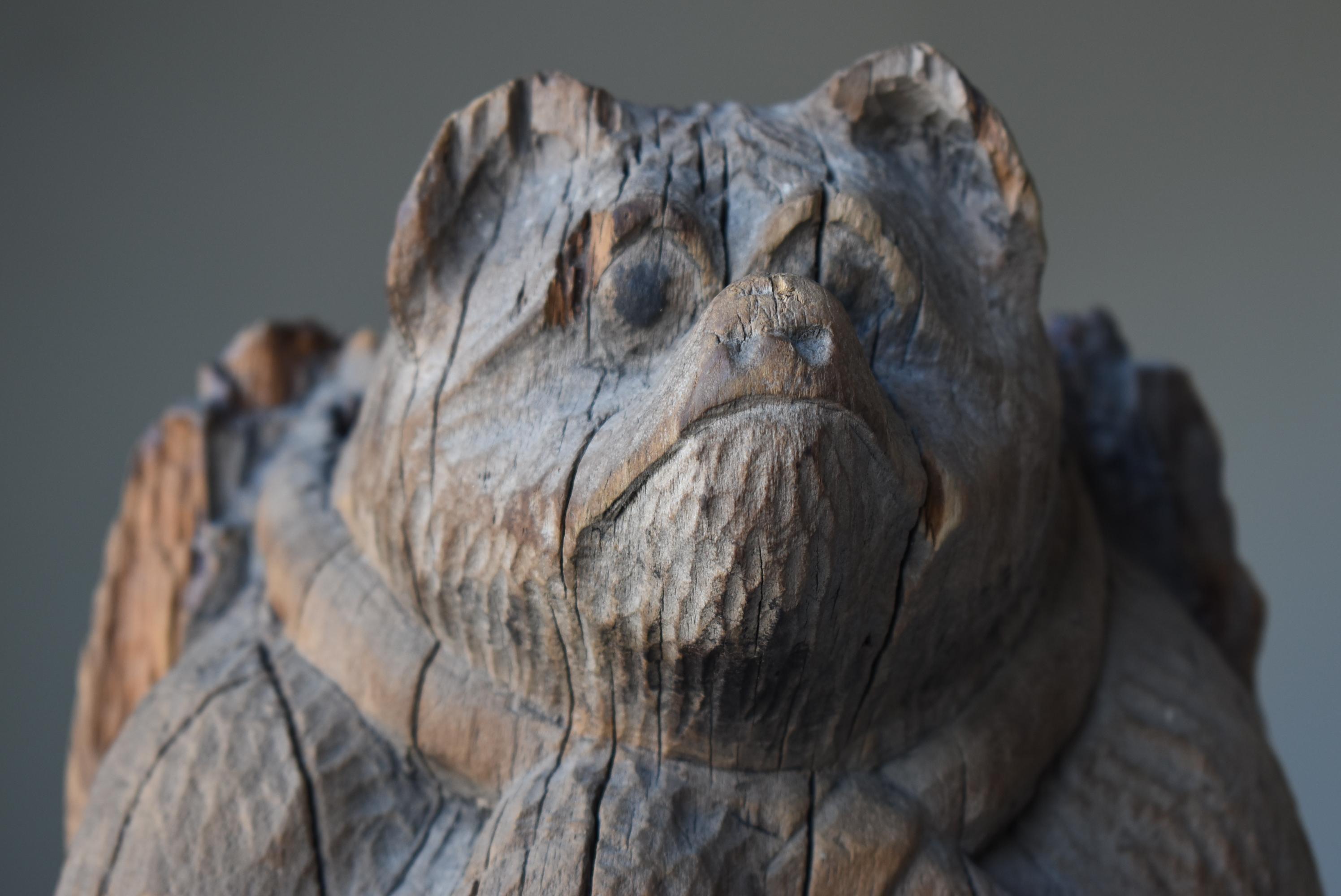 Cedar Japanese Antique Wood Carving Raccoon Dog 1900s-1940s / Object Mingei Wabi Sabi For Sale