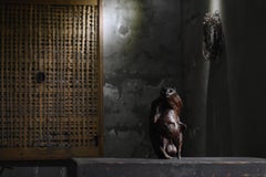 Japanese Antique Wood Carving Raccoon Dog 1900s-1940s / Sculpture Wabi Sabi
